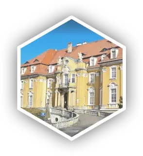 kochcice kopia